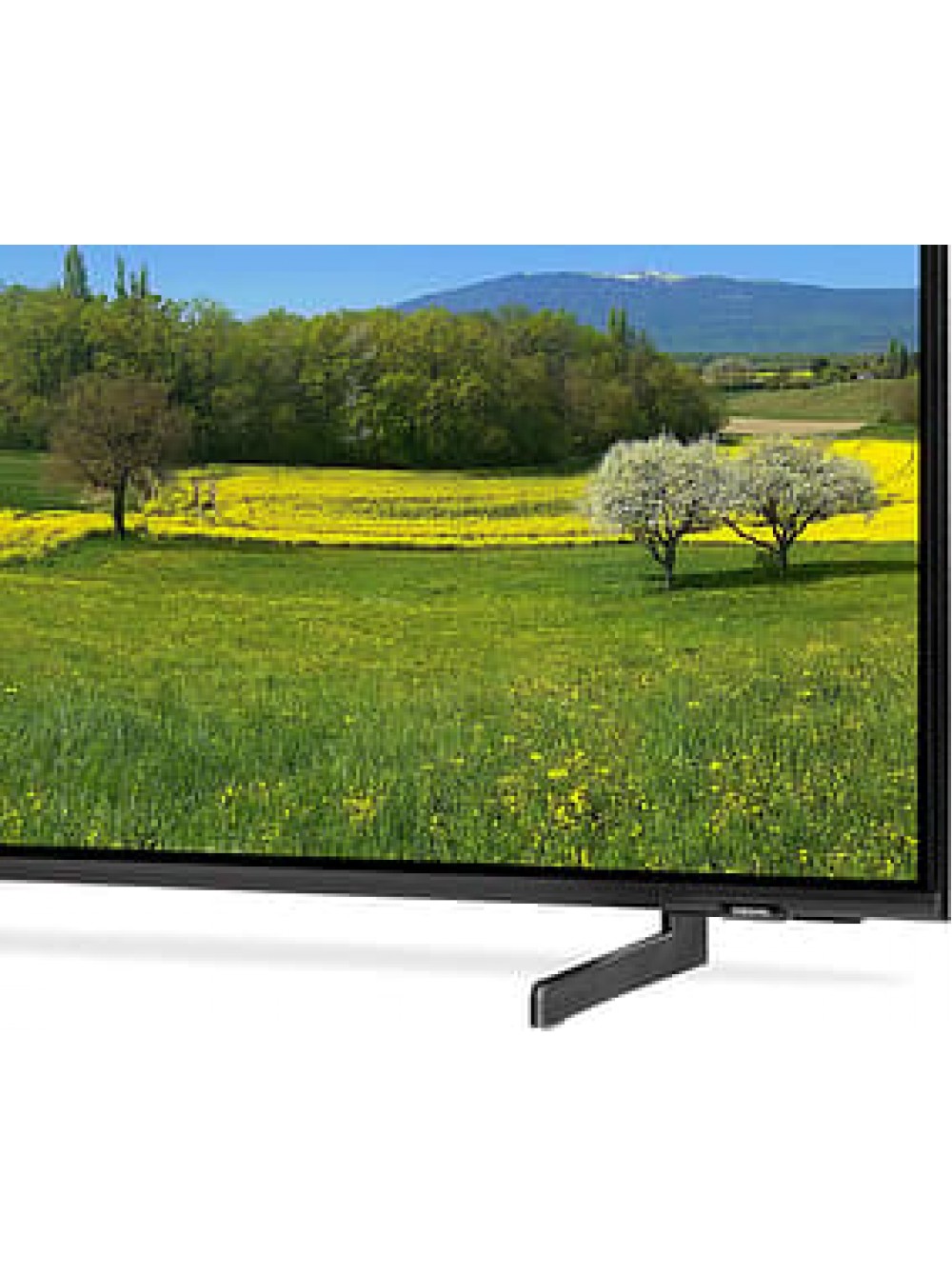 Телевизор Samsung QE55Q60B EU купить в интернет магазине TVGIGANT